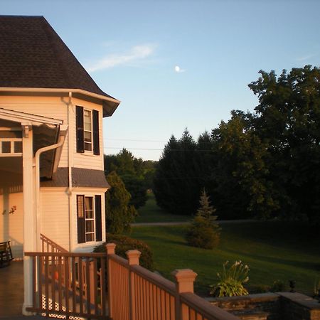 Bed and Breakfast The Fox And The Grapes Lodi Esterno foto