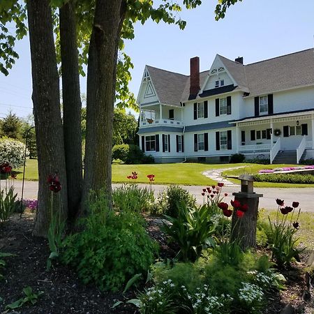 Bed and Breakfast The Fox And The Grapes Lodi Esterno foto