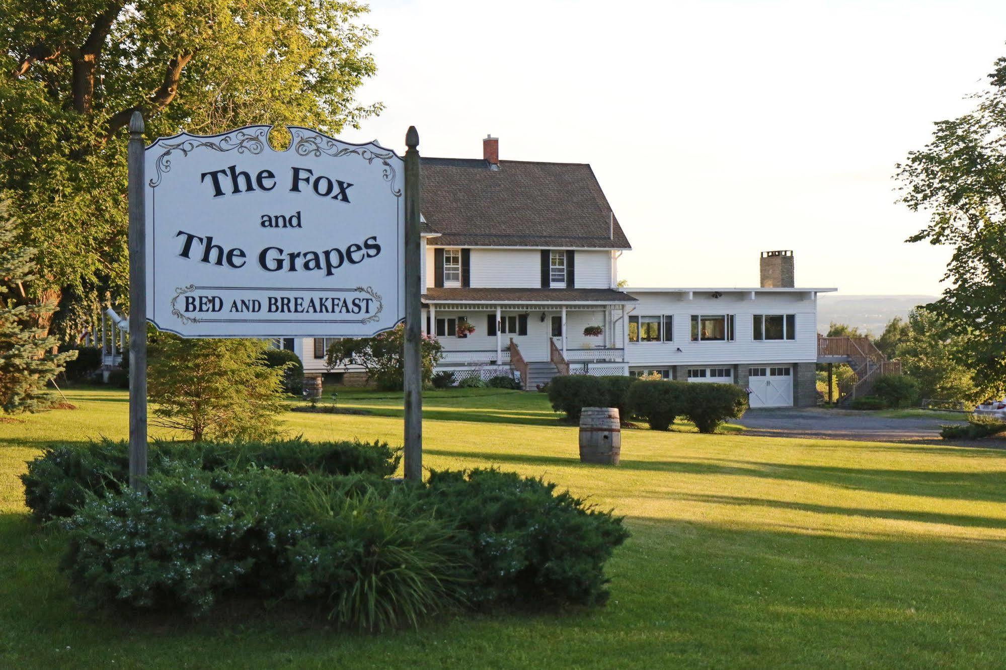 Bed and Breakfast The Fox And The Grapes Lodi Esterno foto